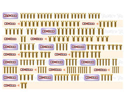 GSS-8IGHT XE2.0   Gold Plated Steel Screw Set 173pcs.( For TLR 8IGHT XE2.0 )