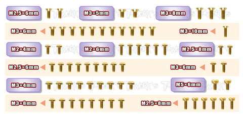 GSS-P12EVO2 Gold Plated Steel Screw Set 65pcs. ( For ROCHE P12 EVO 2 )