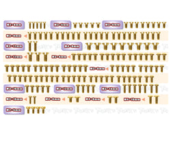 GSS-R8.4ES  Gold Plated Steel Screw Set 153pcs.( For ARC R8.4 ES )