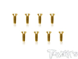 GSS-C    Gold Plated M2 Hex. Countersink Screws