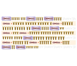 GSS-Mi10-G   Gold Plated Steel Screw Set 127pcs.   ( For Schumacher Mi10 Graphite-Spec Car )