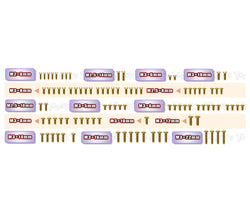 GSS-WORKS '91   Gold Plated Steel Screw Set 93pcs.  ( For Yokomo Super Dog Fighter Works'91 )