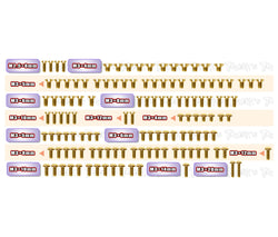 GSS-X4F'27     Gold Plated Steel Screw Set 127pcs.  ( For Xray X4F 2027 )