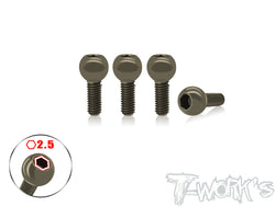 TO-FW06-A  7075-T6 Hard Coated Alum. Hex Socket 5.8mm Pivot Ball ( For Kyosho FW06 ) 4pcs.