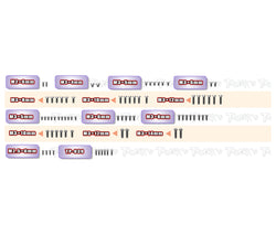 TSSU-CRC  64 Titanium Screw set ( UFO Head ) 74pcs. ( For CRC MetriCKs"FMJ"）