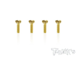 GSS-1605H 1.6mmx5mm Gold Plated Steel Hex. Socket Head Screws（4pcs.）