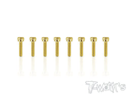 GSS-2510H 2.5mmx10mm Gold Plated Steel Hex. Socket Head Screws（8pcs.）