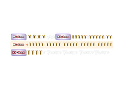 GSS-NT1'23-B	  Gold Plated Steel Screw Set( Bottom ) 45pcs. ( For Xray NT1 2023 )