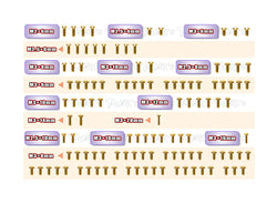GSS-NT1'23-T	  Gold Plated Steel Upper Deck Screw set 114pcs.( For Xray NT1 2023 )