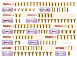 GSS-RC10B6.3	 Gold Plated Steel Screw Set 125pcs. ( For Team Associated RC10 B6.3 )