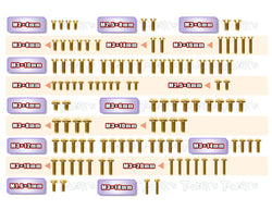 GSS-RC10T6.4	  Gold Plated Steel Screw Set 109pcs. ( For Team Associated RC10 T6.4 )