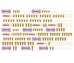 GSS-X1'24   Gold Plated Steel Screw Set 136pcs. ( For Xray X1'24 )