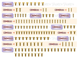 GSS-XB2C'21	Gold Plated Steel Screw Set  130pcs. ( For Xray XB2C'21 )