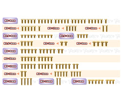 GSS-XB2'24   Gold Plated Steel Screw Set 126pcs. ( For Xray XB2'24 )