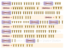GSS-XB4D'23    Gold Plated Steel Screw Set 142pcs. ( For Xray XB4D'23 )